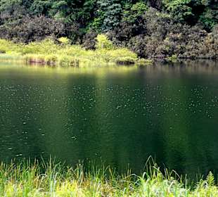 Impressionen vom Grand Etang