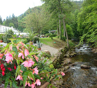 Der Kurpark von Bad Wildbad