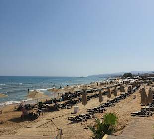 Strand Stalis