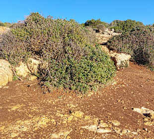 Seven Hanging Valleys Trail