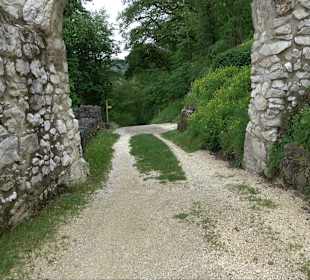 Ruine Burg Kaltenburg