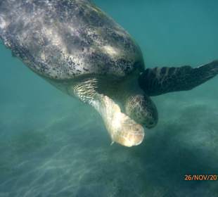The Three Corners Pensée Beach Resort