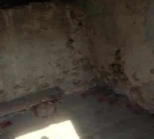 Naturdenkmal Lutherlinde