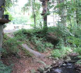 Kletterpark Thale