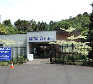 Eingang, Hop Bus hält genau davor