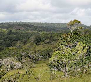 Shimba-Hills