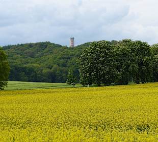 Blick auf Schloß Granitz