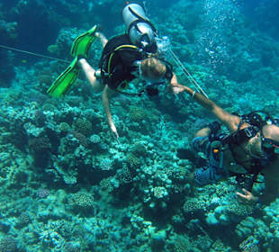 Tauchen am Hausriff