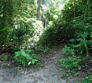 Inneres von Hong Island