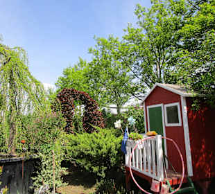 Peterhof-Pflanzen in Hanhofen