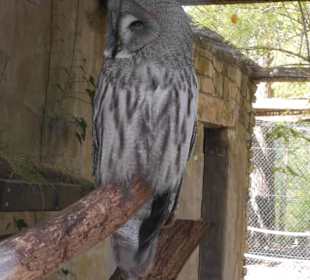 Weltvogelpark Walsrode