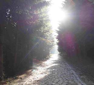 Riesengebirge/Karkonosze