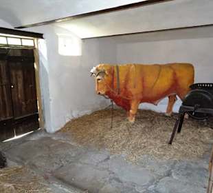 Der Stallbereich im Wohntrakt des Bauernhofes