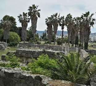 "Western Archaeological site"
