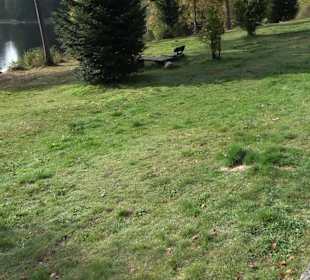 Windgfällweiher