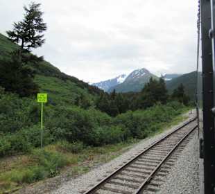 Mit der Train in der Natur Alaskas