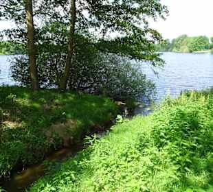 Impressionen vom Rundgang um den Tweelbäker See