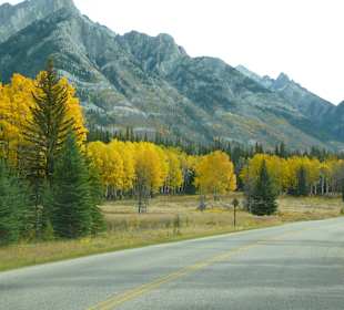Auf dem Weg  zum Johnston Canyon