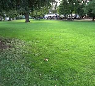 Ruine des Neuen Lusthauses