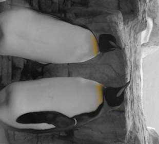 Rundgang im Tierpark