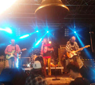 Konzertauftritt Live