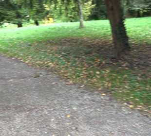 Giebelbach Park