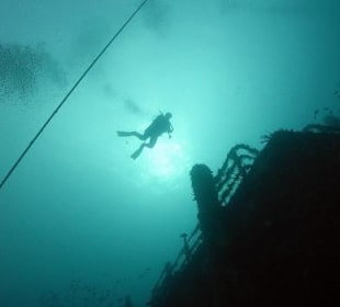 Bild vom Card Partner