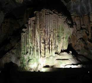 .. Wunder der Natur I