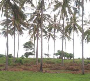 Paesaggio