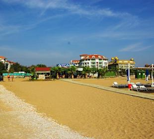 Inspirationen an d.Strandprom.entlang Nov.2010