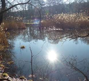 Abwechslungsreicher Weg