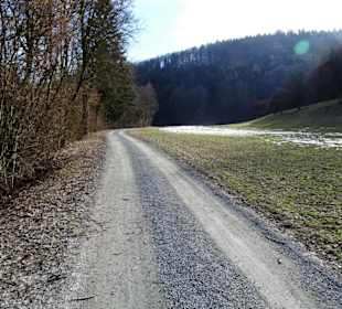 Forstweg in das Bärental