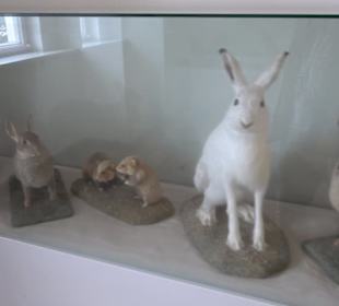 Museum Rosenburg