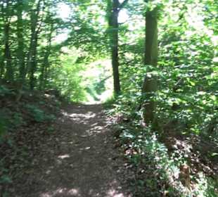 Wanderweg Sieben-Täler-Runde 