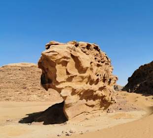 Das Schiff in der Wueste