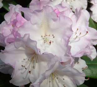 Planten und Bloomen Freizeitpark