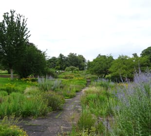 Höhenpark Killesberg
