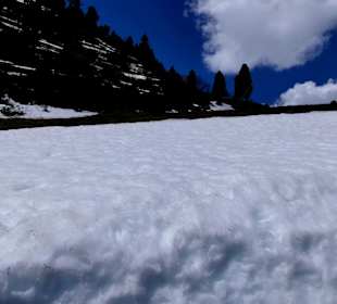 Wahnsinn Anfang Juni 
