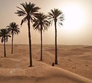 Douz das Tor zur Sahara