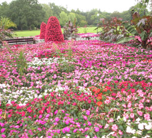 Kurpark