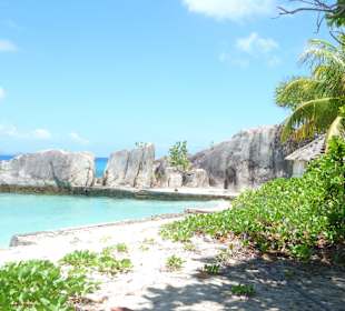 Felicite'/Seychellen