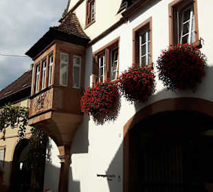 Weingut Altes Schlösschen L. Schneider