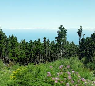 Inselrundfahrt AIDA Tagestour