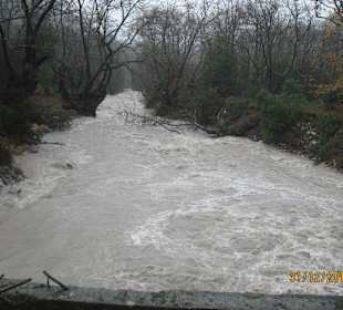 Wilder Fluss