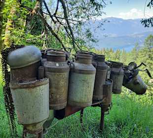 Sport & Freizeit