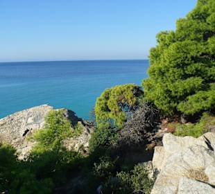 Die Felsen und die Vegetation reicht bis ans Wasser