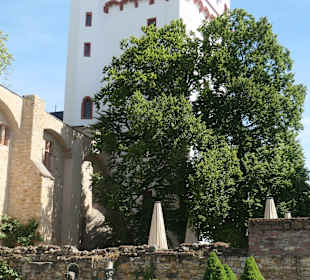 Bei der Kurfürstlichen Burg von Eltville
