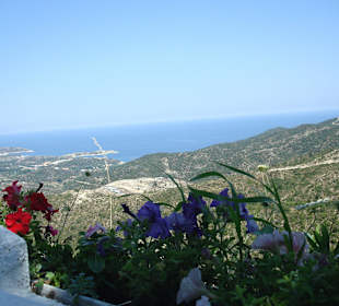 Taverna Panorama Ausblick (Sithonia)