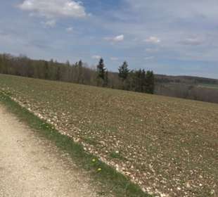Vulkankrater-Rundweg Apfelstetten