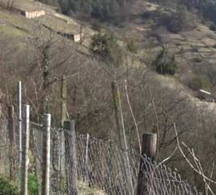 Naturschutzgebiet Hirschauer Berg